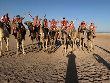Enjoy a memorable camel ride across the Sinai desert with family and friends on our Sharm El Sheikh tour.
