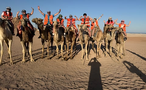 Sharm El Sheikh Desert Safari Trip with Dinner and Stargazing