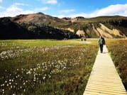 Landmannalaugar - Private Tour 10