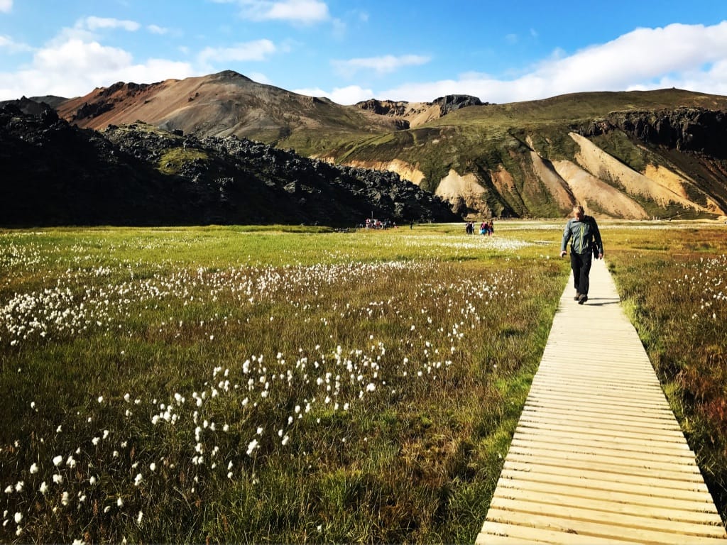 Landmannalaugar - Private Tour 10