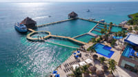 Dolphin Encounter en Isla Mujeres 4