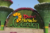 Miracle Garden Global Village Transportation from RAK 2