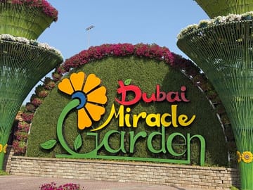 Miracle Garden Global Village Transportation from RAK