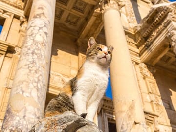 Private Ephesus Tour: House of Virgin Mary and Temple of Artemis