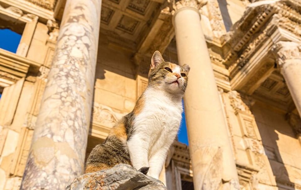 Ephesus Private Shore Excursion: House of Virgin Mary and Artemis