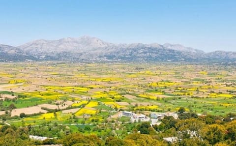 Lasithi Mythology and Malia Tour from Heraklion