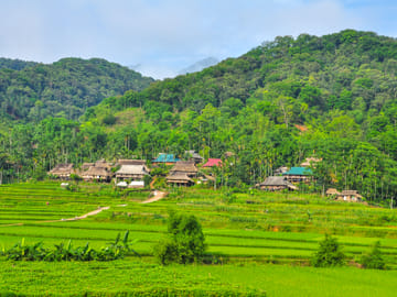 Three-Day Trekking Adventure in Mai Chau and Pu Luong