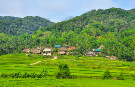 Three-Day Trekking Adventure in Mai Chau and Pu Luong