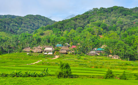 Three-Day Trekking Adventure in Mai Chau and Pu Luong