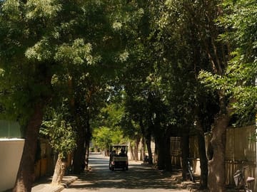 Cycling Tour of Heybeliada from Istanbul's Beyoğlu District