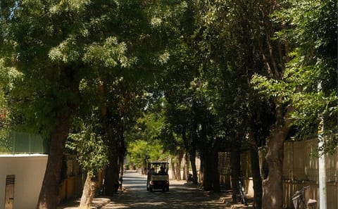 Cycling Tour of Heybeliada from Istanbul's Beyoğlu District