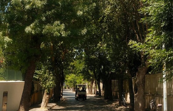 Istanbul Princes’ Islands Cycling Tour