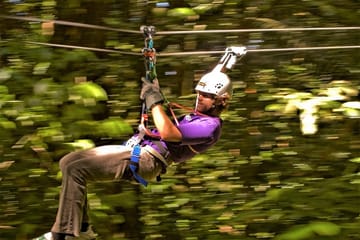 Zipline Adventure and Dunn's River Falls Tour from Montego Bay
