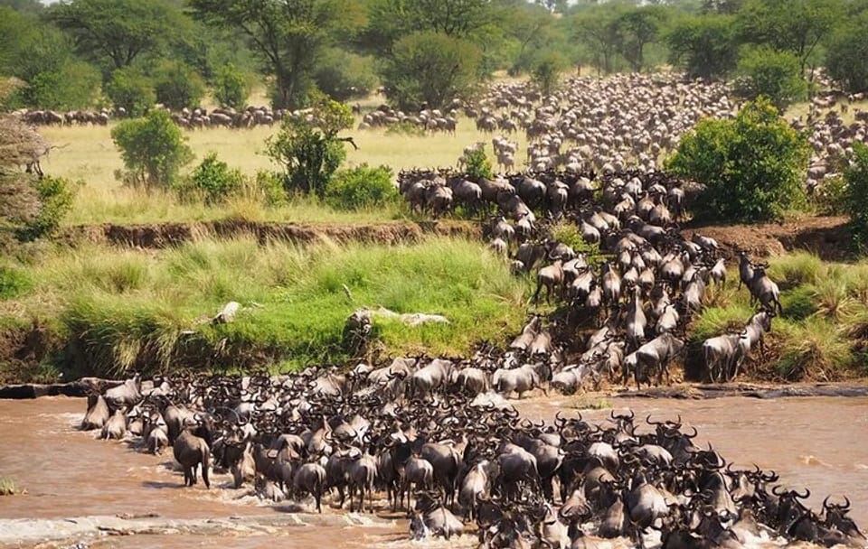 Maasai Mara National Reserve 3 Day Minivan Tour