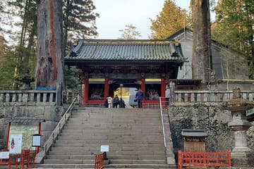 Nikko Private Tour Return by Bullet Train