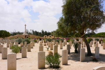 WWII History and Modern Development Tour in El Alamein