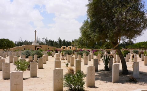 WWII History and Modern Development Tour in El Alamein