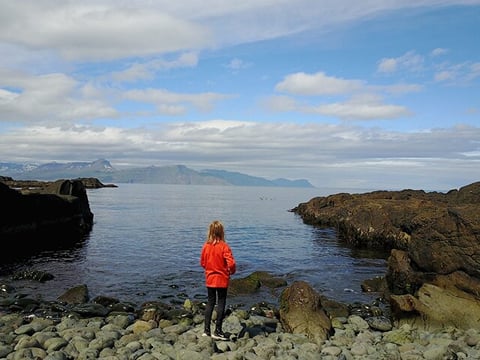 The Tiniest Town Tour in Mjoifjordur fjord, photo 5