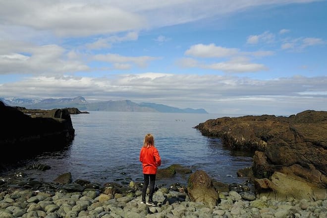 The Tiniest Town Tour in Mjoifjordur fjord photo 5