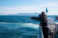 Best Value Whale Watching Tour from Reykjavik	 6
