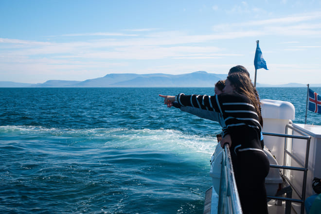 Best Value Whale Watching Tour from Reykjavik	 photo 6
