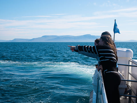 Best Value Whale Watching tour from Reykjavik, photo 7