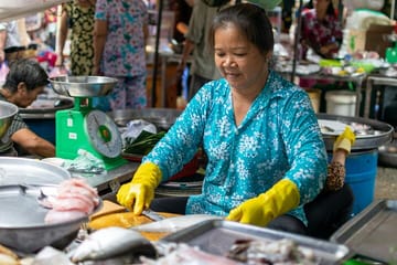 Halong Bay and Bai Chay Cultural City Tour with Show