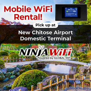 20% OFF: Japan Mobile WiFi - New Chitose Airport (Sapporo) Domestic Terminal Pickup