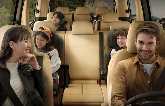 Private Everland Theme Park Tour