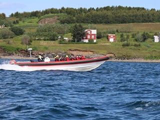 Express Whale Watching From Dalvík, photo 11