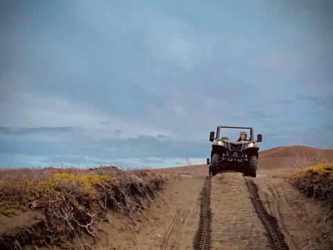 Buggy Adventure Mývatn - ATV tour , photo 4