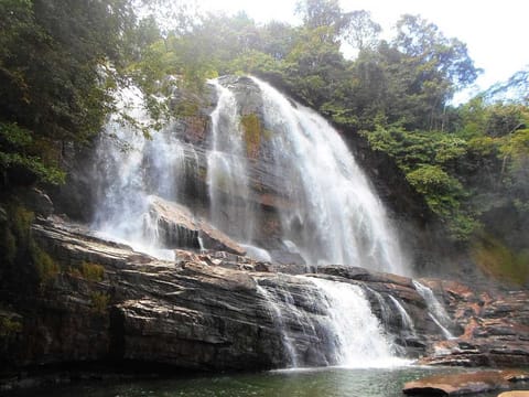 Waterfall Trail