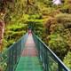 Cloud Forest hanging Bridges tour