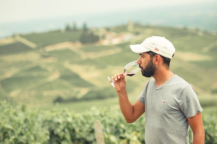 A bearded younger man in a white baseball cap and a grey tee-shirt is smelling a glass of red wine. He's in a vineyard in summer.