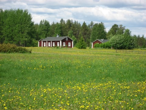 Historical villages