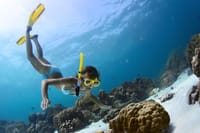 Amazing Snorkeling Experience in Cancun 5