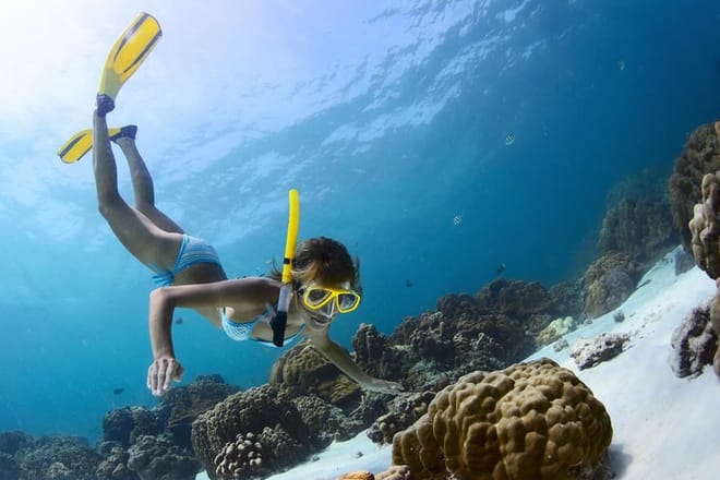 Amazing Snorkeling Experience in Cancun 5