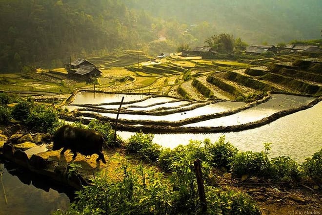 Sapa tour 2days trekking Ta Van & Cat Cat village 6