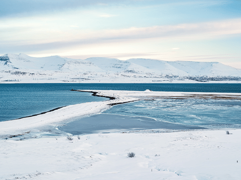 Hvalfjörður Scenic Fjord Blast with Optional Hvammsvík Geothermal Baths, photo 13