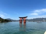 Hiroshima Station to Miyajima and Peace Park Private Tour 1