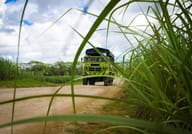Safari of Fields - Punta Cana 8