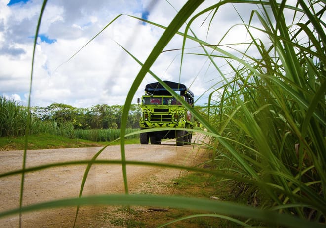 Safari of Fields - Punta Cana 8