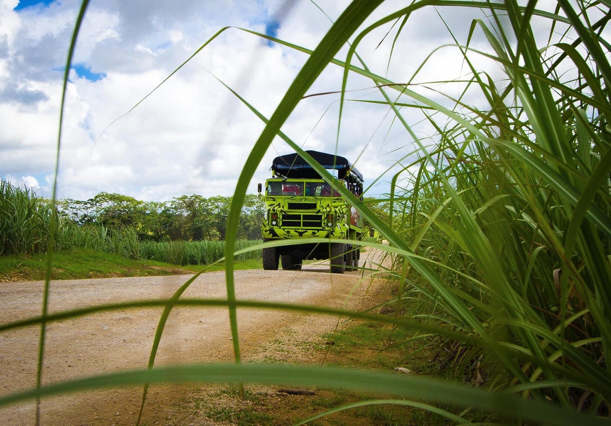 Safari of Fields - Punta Cana 8