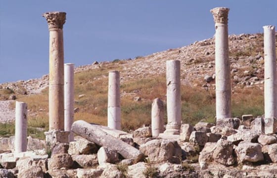 Private Half-Day Pella Tour from Amman