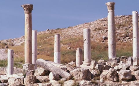Private Half-Day Tour of Pella Ruins from Amman