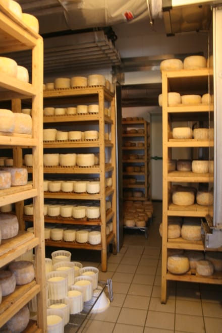 White gold from milk - visit to a typical Santa Caterina cheese dairy photo 2
