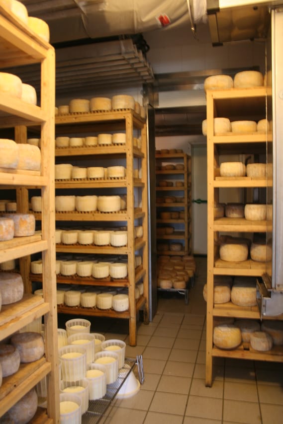 White gold from milk - visit to a typical Santa Caterina cheese dairy 2