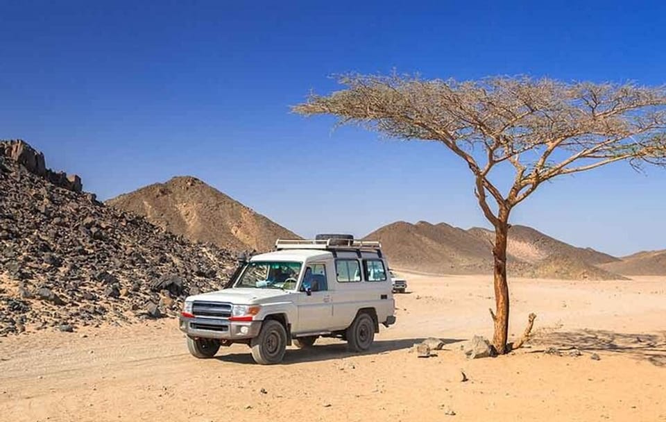 ATV and Camel Ride Adventure Tour in Hurghada, Egypt
