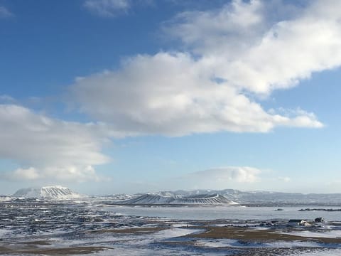 Lake Myvatn, Dettifoss,Selfoss, Godafoss, Nature Baths & more, photo 5
