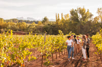 Montserrat, Food & Wine 7